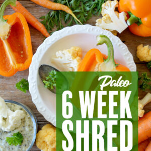 Paleo Edition - MT3 - Protein Fueled/Low Carb